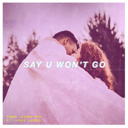 Say U Won't Go (feat. Vince Lucero)
