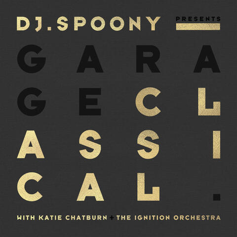 DJ Spoony