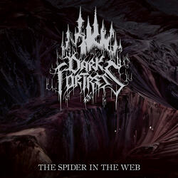 The Spider in the Web