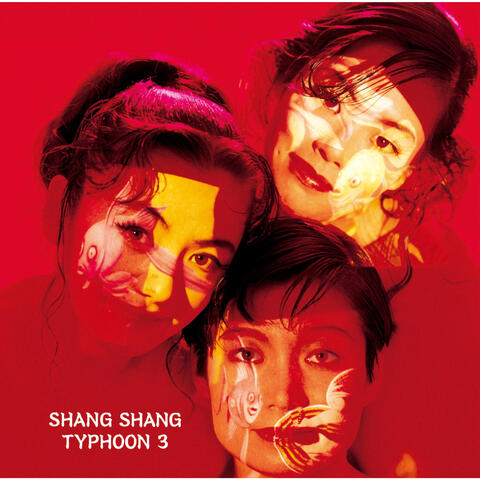 Shang Shang Typhoon 3