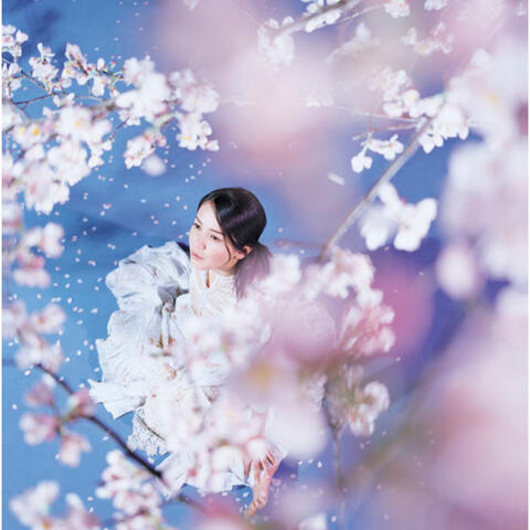 Haruno Katami