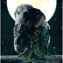 ティーワイオー