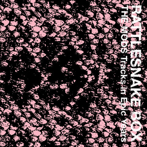 RATTLESNAKE BOX The MODS Tracks in Epic Years