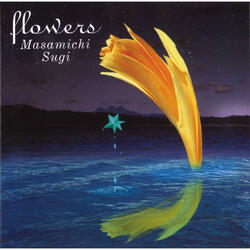 Invitation To The Pleiades