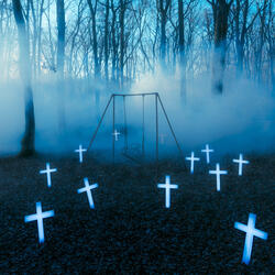 Without a Trace