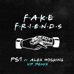 Fake Friends (VIP Mix)