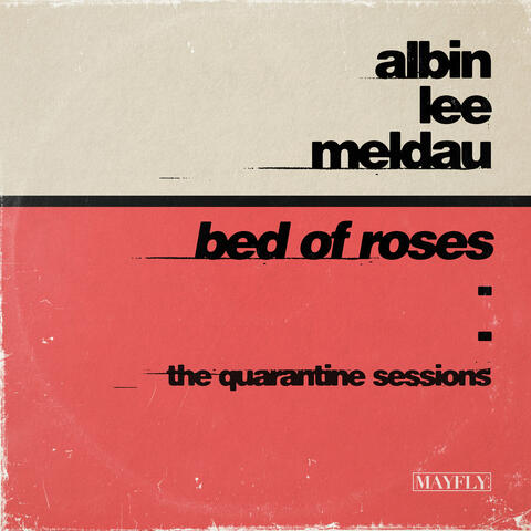 Bed of Roses