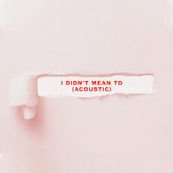 I Didn't Mean To