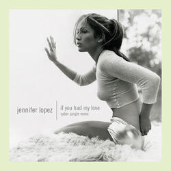 If You Had My Love