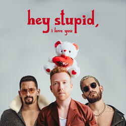 Hey Stupid, I Love You (feat. Mau y Ricky)
