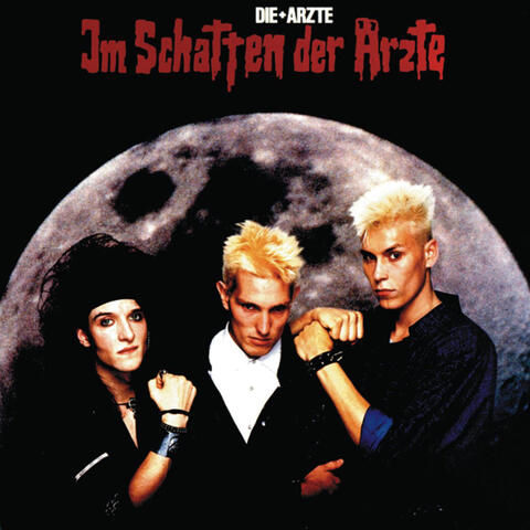 Im Schatten Der Ärzte