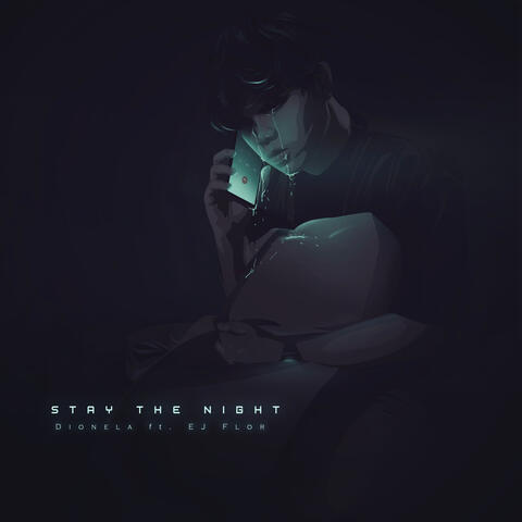 Stay The Night
