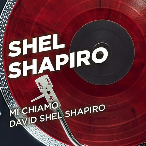 Mi chiamo David Shel Shapiro