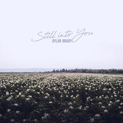 Still Into You
