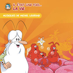Le circuit des aliments