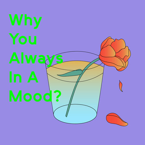 Why You Always in a Mood?