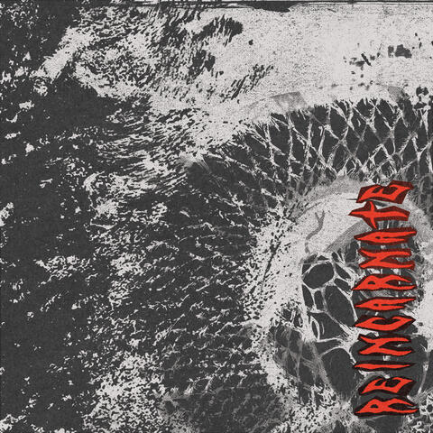 Reincarnate