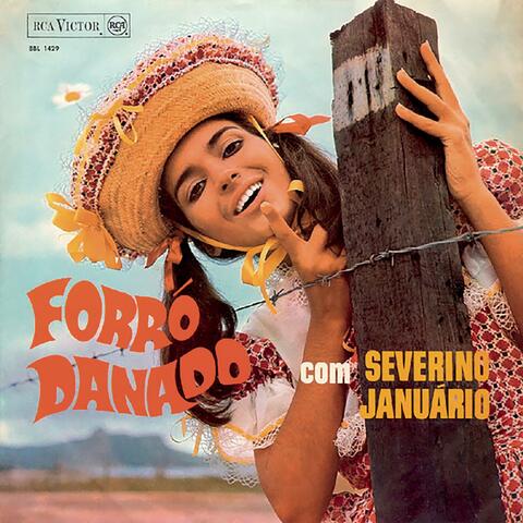 Forró Danado