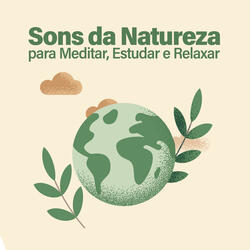 Música para Relaxar
