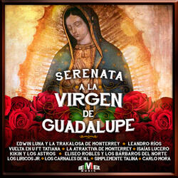 La Guadalupana