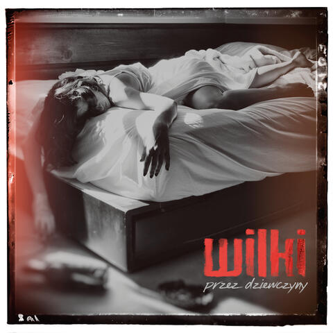 Wilki