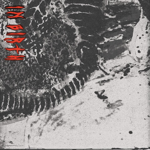 In Birth
