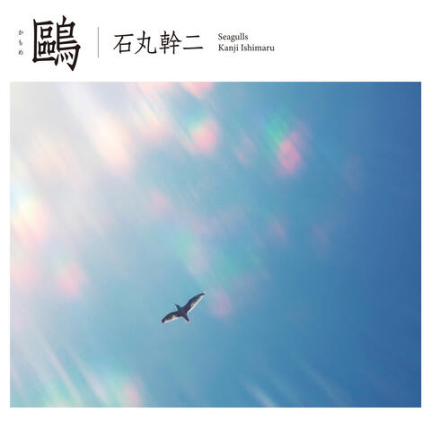 Seagulls
