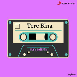 Tere Bina
