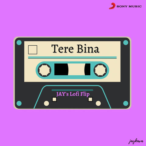 Tere Bina