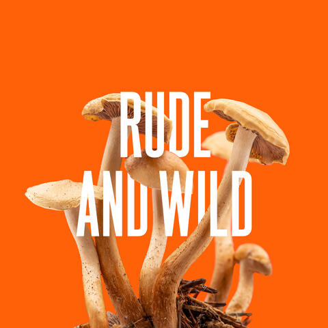 Rude And Wild