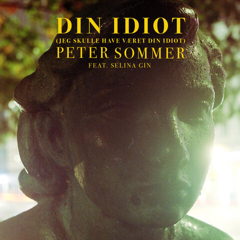 Din Idiot (Jeg Skulle Have Været Din Idiot)