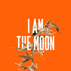 I Am The Moon