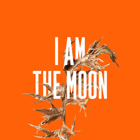 I Am The Moon