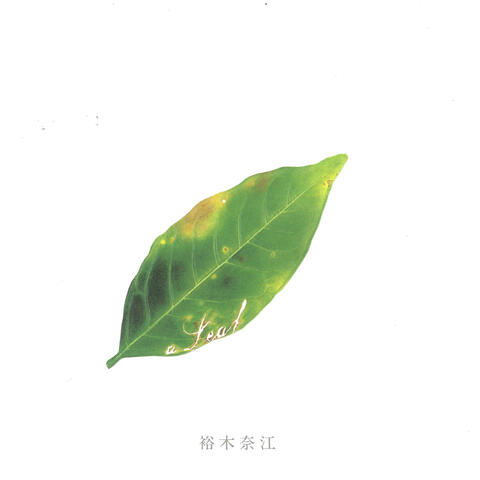 A Leaf