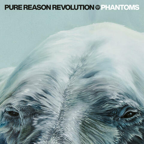 Phantoms