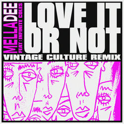 Love It or Not (feat. Infinite Coles)