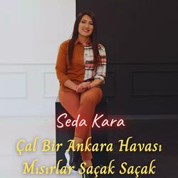 Çal Bir Ankara Havası & Mısırlar Saçak Saçak