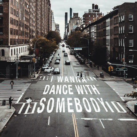 I Wanna Dance With Somebody