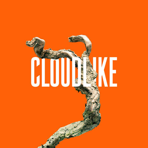 Cloudlike