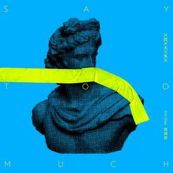 Say Too Much