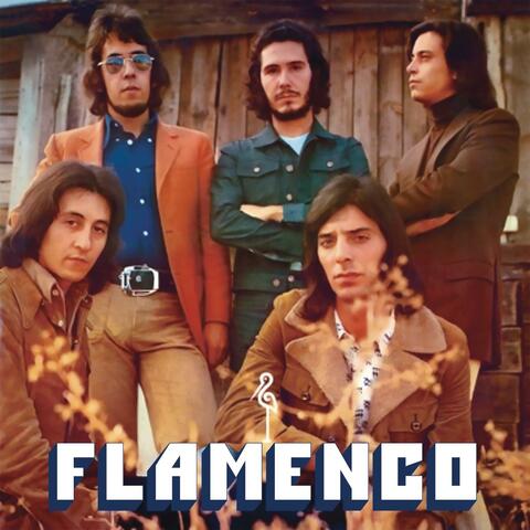 Flamenco