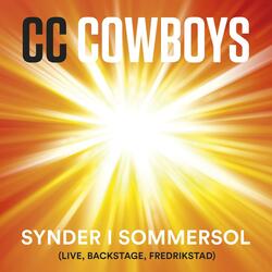 Synder i sommersol