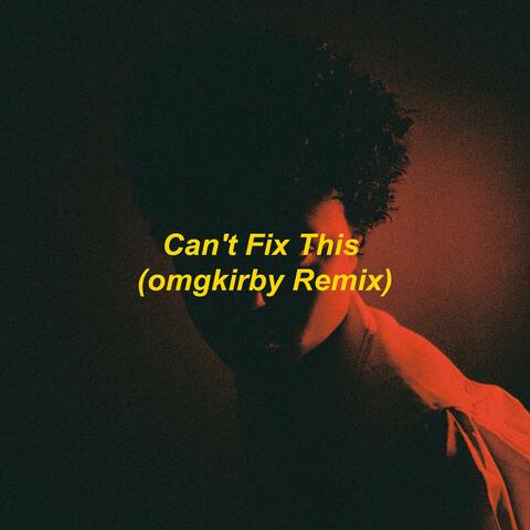 Can't Fix This