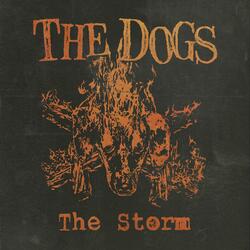 The Storm