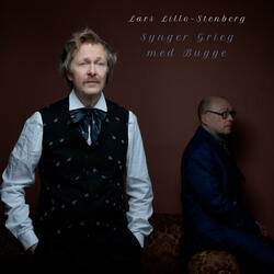 Der skreg en fugl