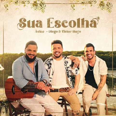 Sua Escolha