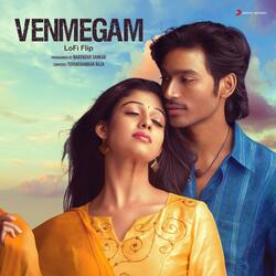 Venmegam