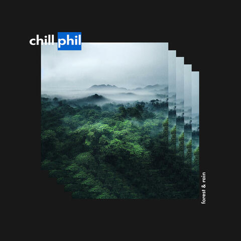 Forest & Rain - Ambient Music