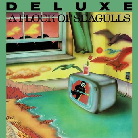 A Flock Of Seagulls