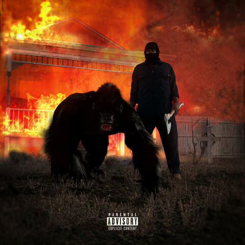 INSANE GORILLA